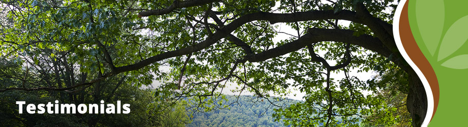 Treescapes Testimonials